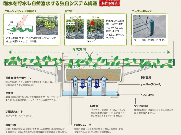 グリーンシェード